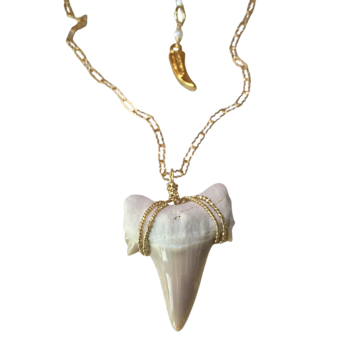 FSM Shark Tooth Necklace