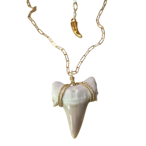 FSM Shark Tooth Necklace