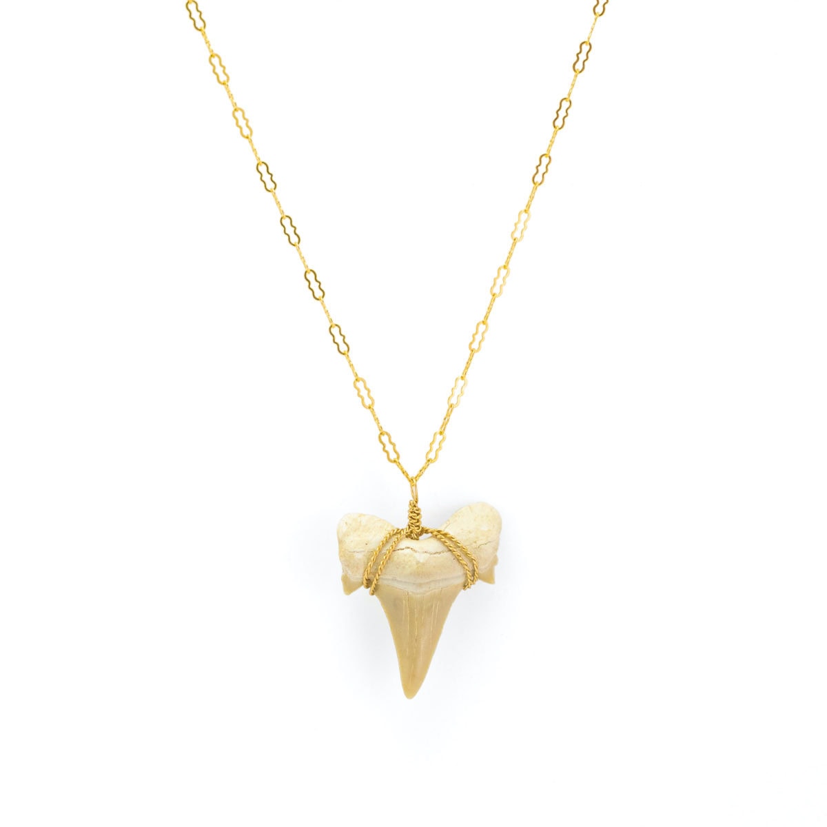 Forgetting Sarah Marshall Shark Tooth Necklace
