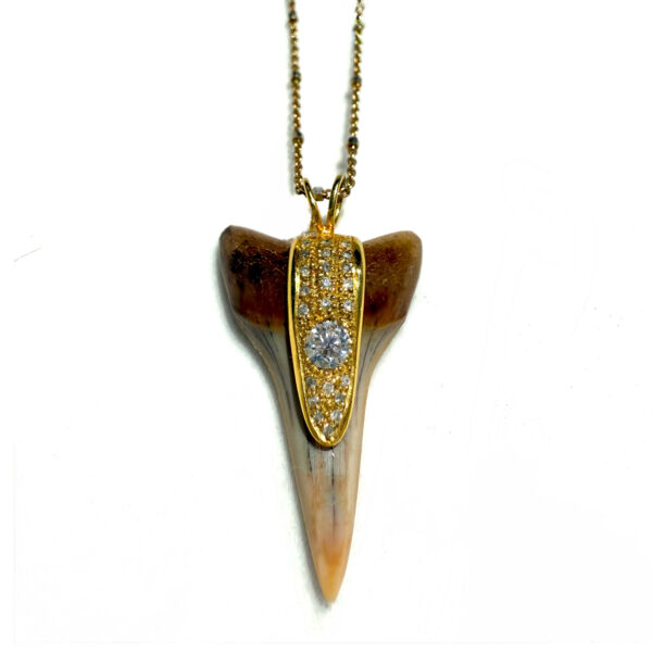 Sirens Shark Tooth Necklace