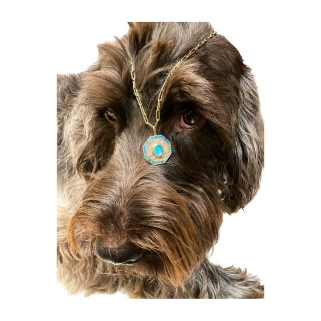 Opal Diamond Mother of Pearl necklace available, dog not included. 
.
.
.
.
#holiday 
#holidays 
#holidaygift 
#holidaygiftguide 
#holidaygiftideas 
#padevavra 
#dogsofinstagram